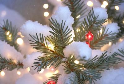The primary subject of the image is a Christmas tree decorated with lights and snow. The tree is adorned with ornaments and lights, creating a festive atmosphere. The setting is a snowy environment, which adds to the holiday theme. The visual style is a photo, capturing the beauty of the tree and its decorations. The colors and mood of the image are predominantly white and snowy, with the lights adding a touch of warmth and brightness.